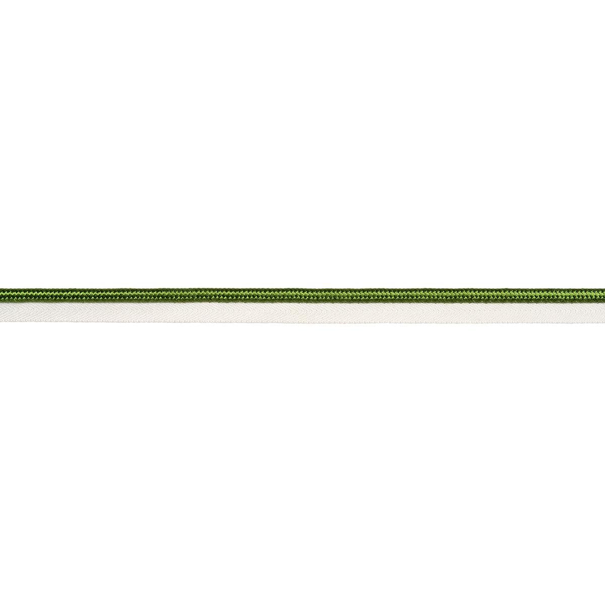 Schumacher Green Gustave Silk Lip Cord Wide