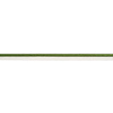 Schumacher Green Gustave Silk Lip Cord Wide