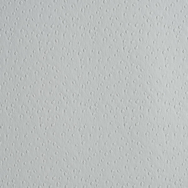 Schumacher Ostrich Vegan Leather Fog Fabric