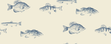 Kravet DESIGN W4358 155 Wallpaper