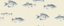 Kravet DESIGN W4358 155 Wallpaper