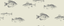 Kravet DESIGN W4358 21 Wallpaper