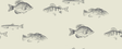 Kravet DESIGN W4358 21 Wallpaper