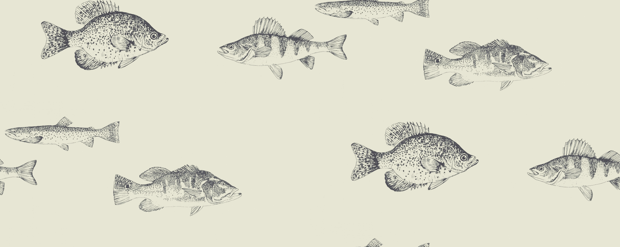 Kravet DESIGN W4358 21 Wallpaper