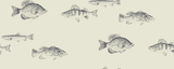 Kravet DESIGN W4358 21 Wallpaper
