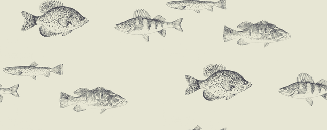 Kravet DESIGN W4358 21 Wallpaper