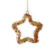 Zodax 6" Gold Festive Beaded Christmas Hanging Ornaments with Red Berries, Set of 12
