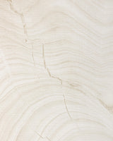 Kravet DESIGN W4319 16 Wallpaper