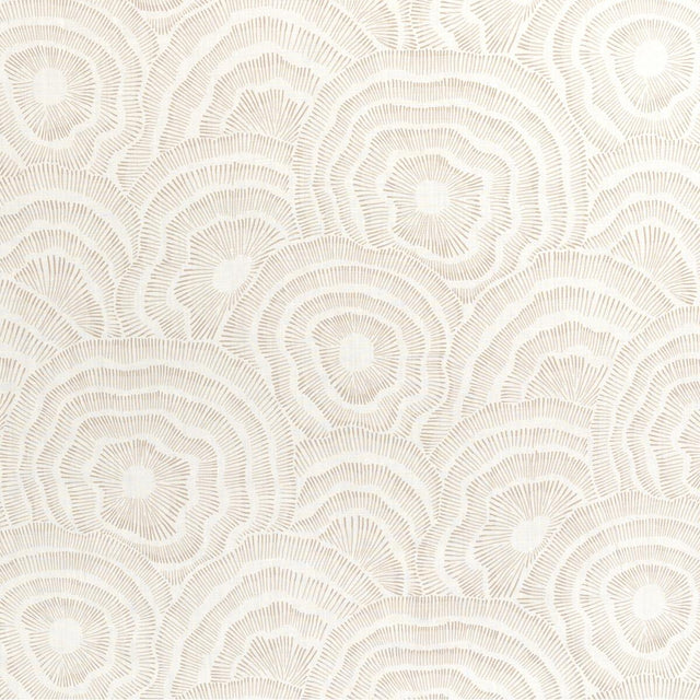 Kravet PANACHE NATURAL Fabric