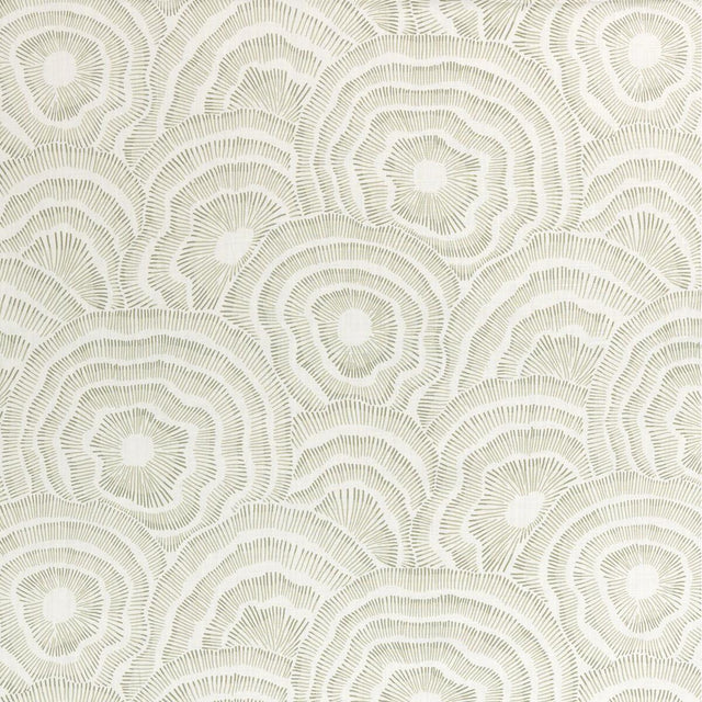 Kravet PANACHE LEAF Fabric