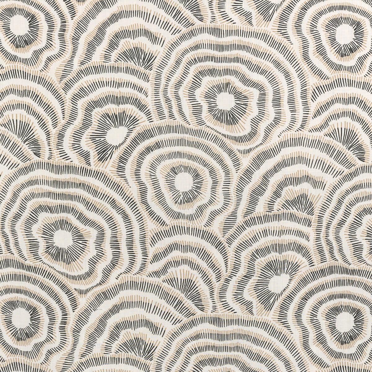 Kravet PANACHE ONYX Fabric