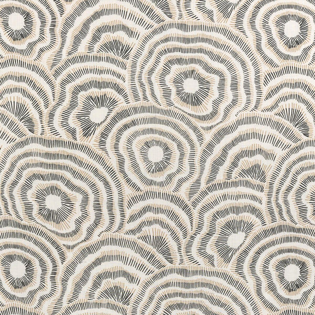 Kravet PANACHE ONYX Fabric