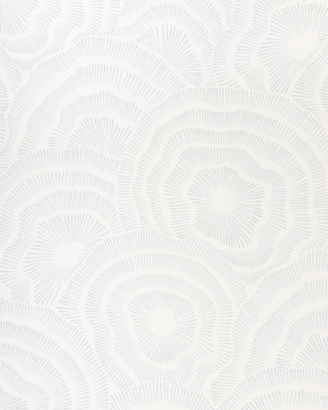 Kravet PANACHE WP SKY Wallpaper