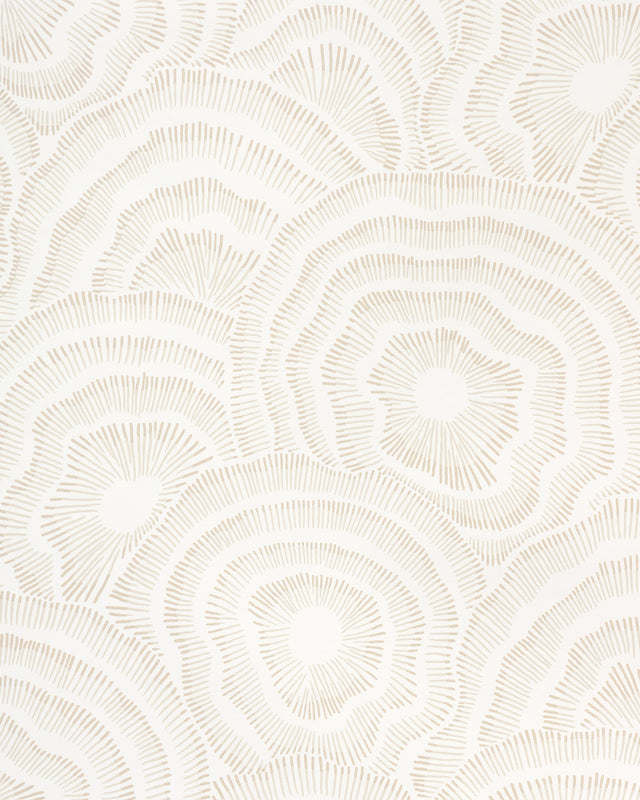 Kravet PANACHE WP NATURAL Wallpaper
