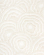 Kravet PANACHE WP NATURAL Wallpaper