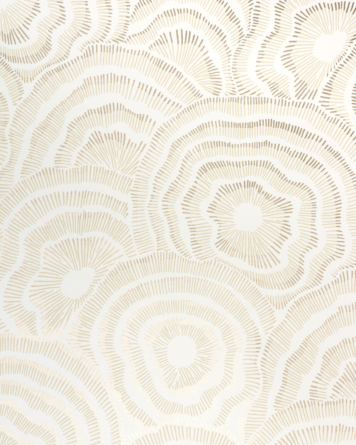 Kravet PANACHE WP CHAMPAGNE Wallpaper