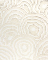 Kravet PANACHE WP CHAMPAGNE Wallpaper