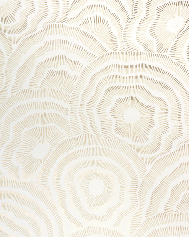 Kravet PANACHE WP CHAMPAGNE Wallpaper