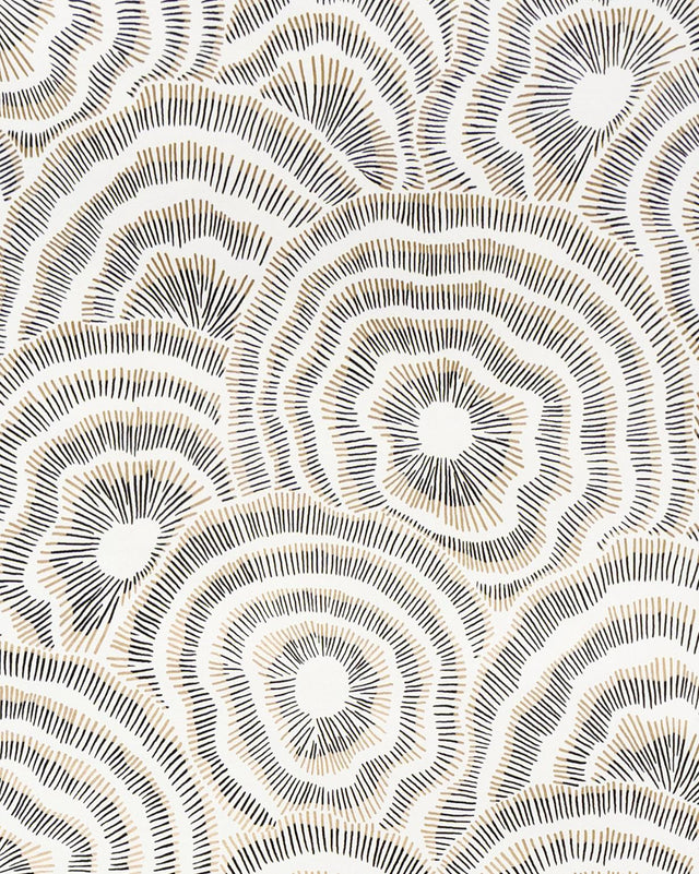 Kravet PANACHE WP ONYX Wallpaper