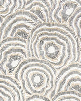 Kravet PANACHE WP ONYX Wallpaper