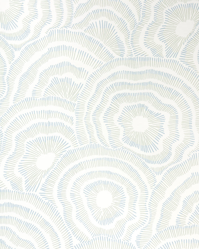 Kravet PANACHE WP SEAFOAM Wallpaper