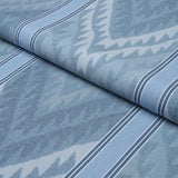 Schumacher Shabba Warp Print Blues Fabric