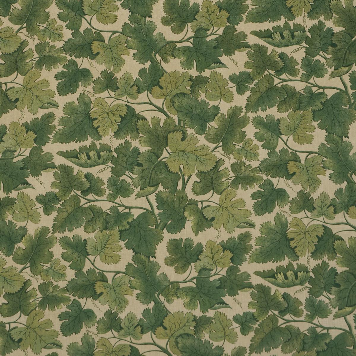 Schumacher Edinburgh Vine Moss Fabric