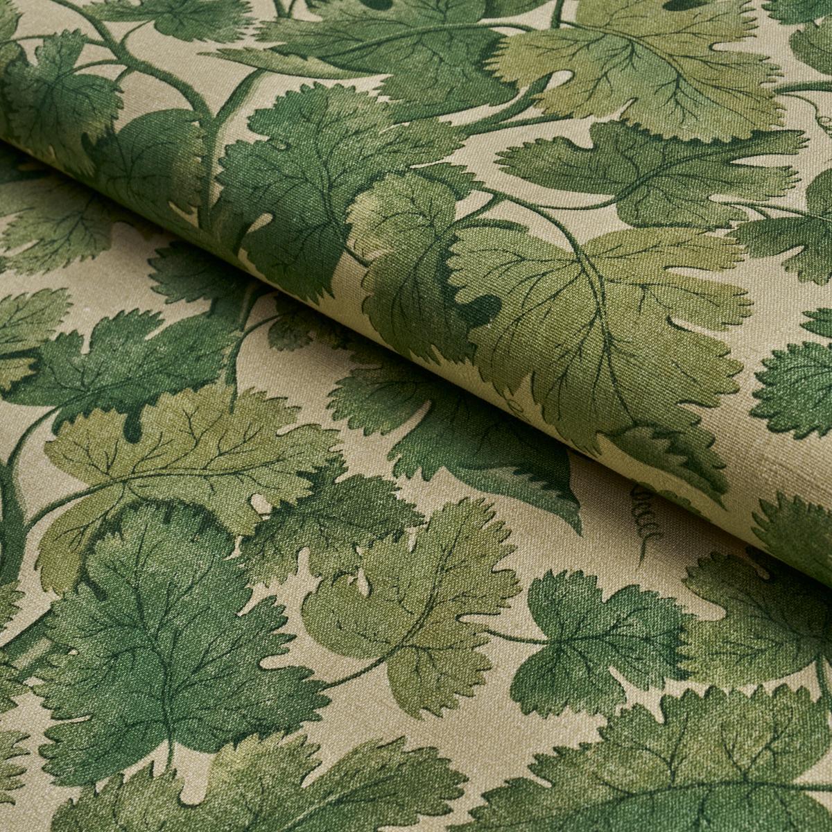 Schumacher Edinburgh Vine Moss Fabric