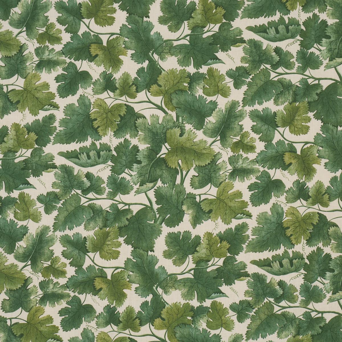 Schumacher Edinburgh Vine Forest Fabric
