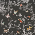 Schumacher Birds & Butterflies Graphite Wallpaper