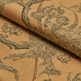 Schumacher Inverness Garden Document Fabric