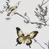 Schumacher Birds & Butterflies Black & Gold Wallpaper