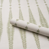 Schumacher Fern Tree Sage Wallpaper