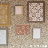 Schumacher Jackie Brown Wallpaper