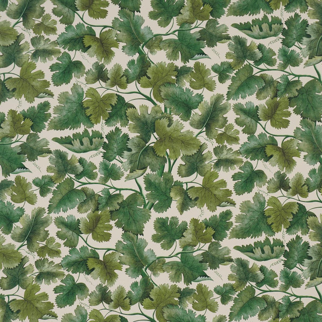 Schumacher Edinburgh Vine Moss Wallpaper