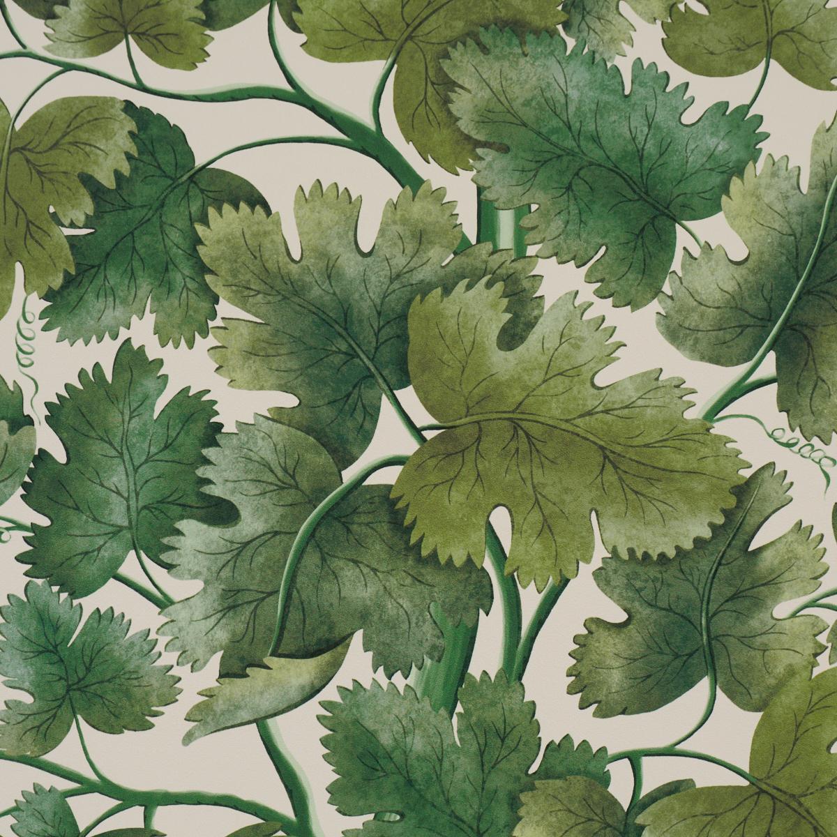 Schumacher Edinburgh Vine Moss Wallpaper