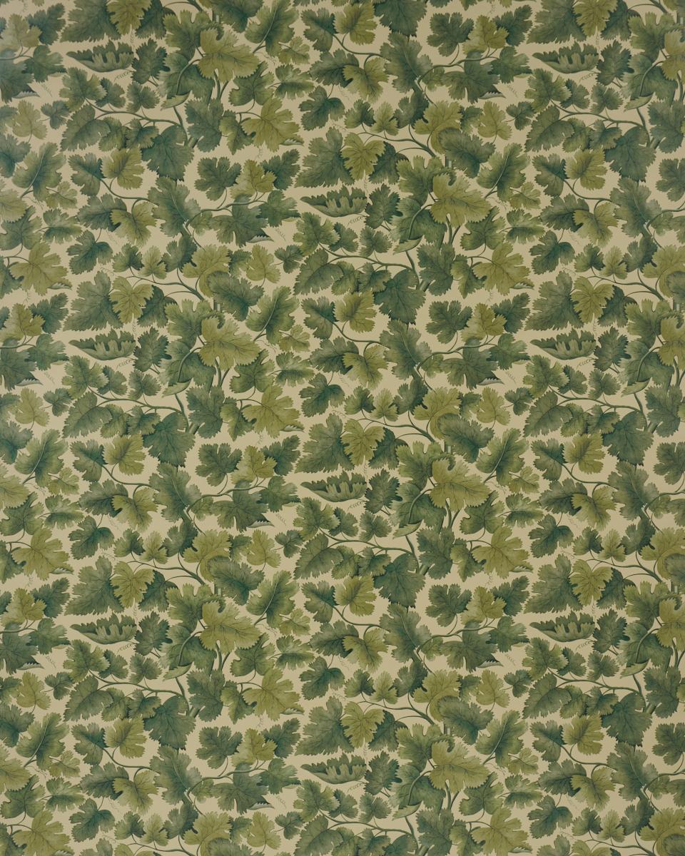 Schumacher Edinburgh Vine Forest Wallpaper