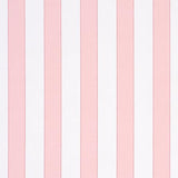 Schumacher Louise Stripe Rose Wallpaper
