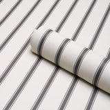 Schumacher Westerly Stripe Charcoal Wallpaper