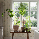 Schumacher Ängsflora Spring Wallpaper