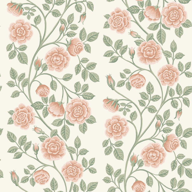 Schumacher Elsa Rose Wallpaper