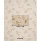 Schumacher Trace Of Connection Blush Fabric