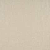 Schumacher Midnight Glow Nacre Fabric