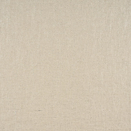 Schumacher Midnight Glow Nacre Fabric
