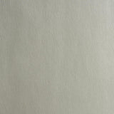 Schumacher Metallic Vegan Leather Outdoor Lustrous Metal Fabric