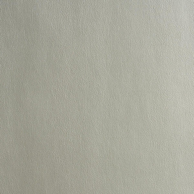 Schumacher Metallic Vegan Leather Outdoor Lustrous Metal Fabric