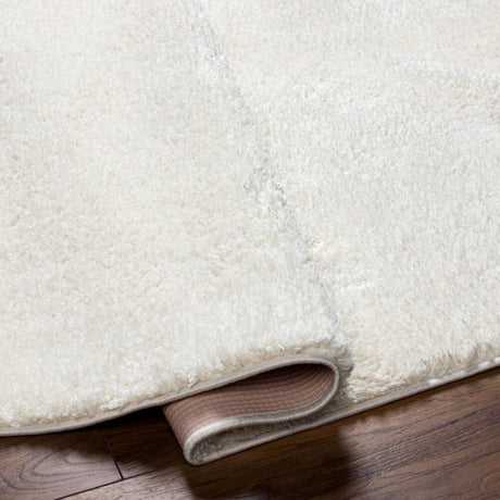 Livabliss Alfombra AFB-2301 3'11" x 5'11" Machine Woven Rug