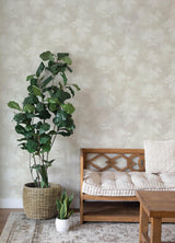 A-Street Prints Springhill Izara Light Grey Wallpaper