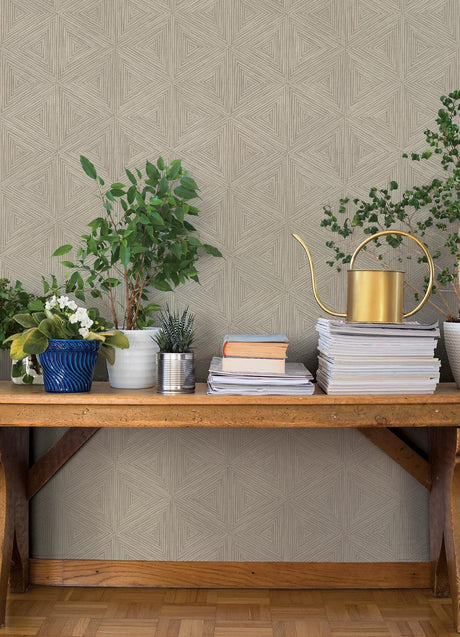 A-Street Prints Springhill Anara Grey Wallpaper
