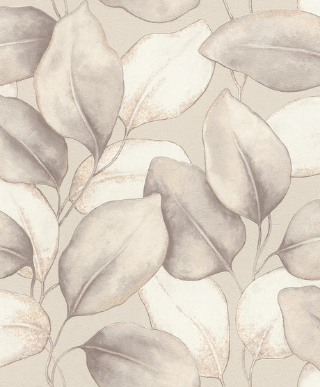 A-Street Prints Springhill Evanthe Grey Wallpaper